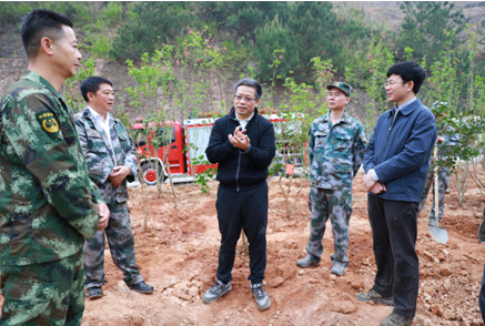 百色市开展"种好树,助脱贫,惠民生"植树活动